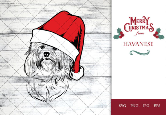 Havanese Dog in Santa Hat for Christmas & Crafts