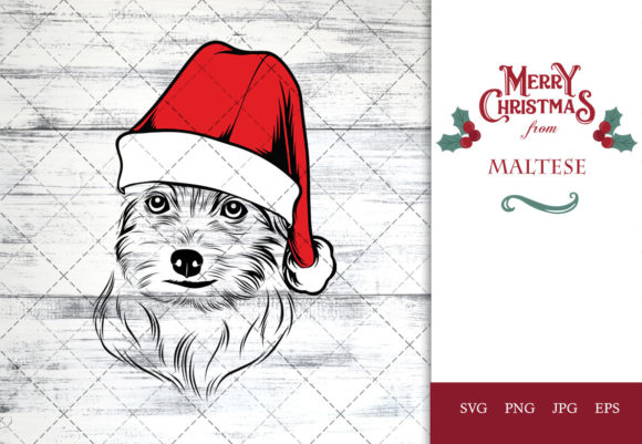 Maltese Dog in Santa Hat for Christmas: Crafts & Design